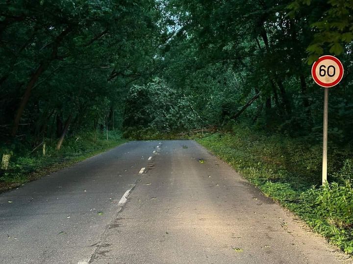 beillesztett kép