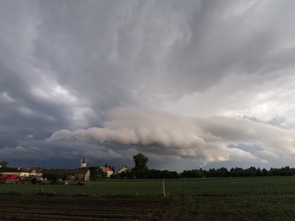 beillesztett kép