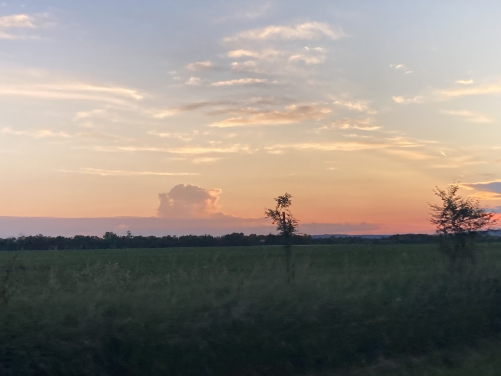 beillesztett kép
