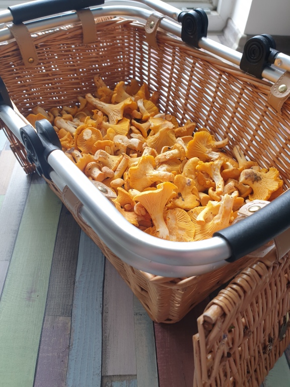 beillesztett kép