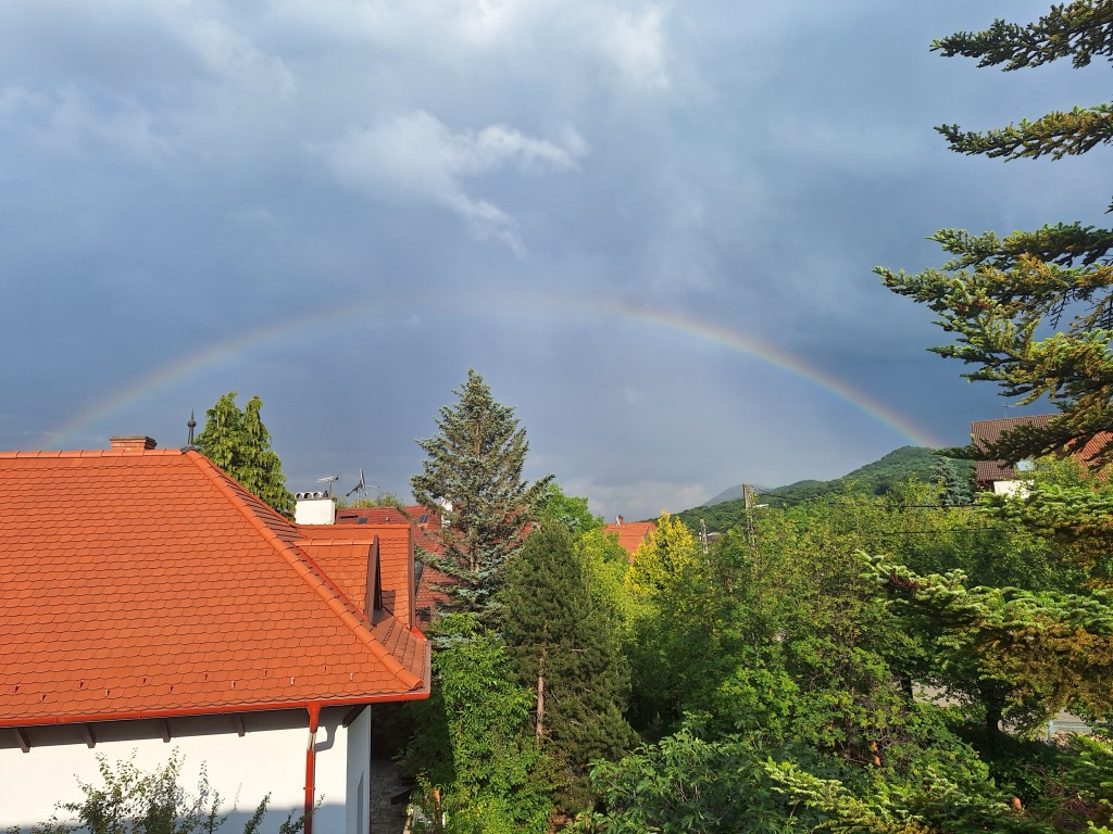 beillesztett kép