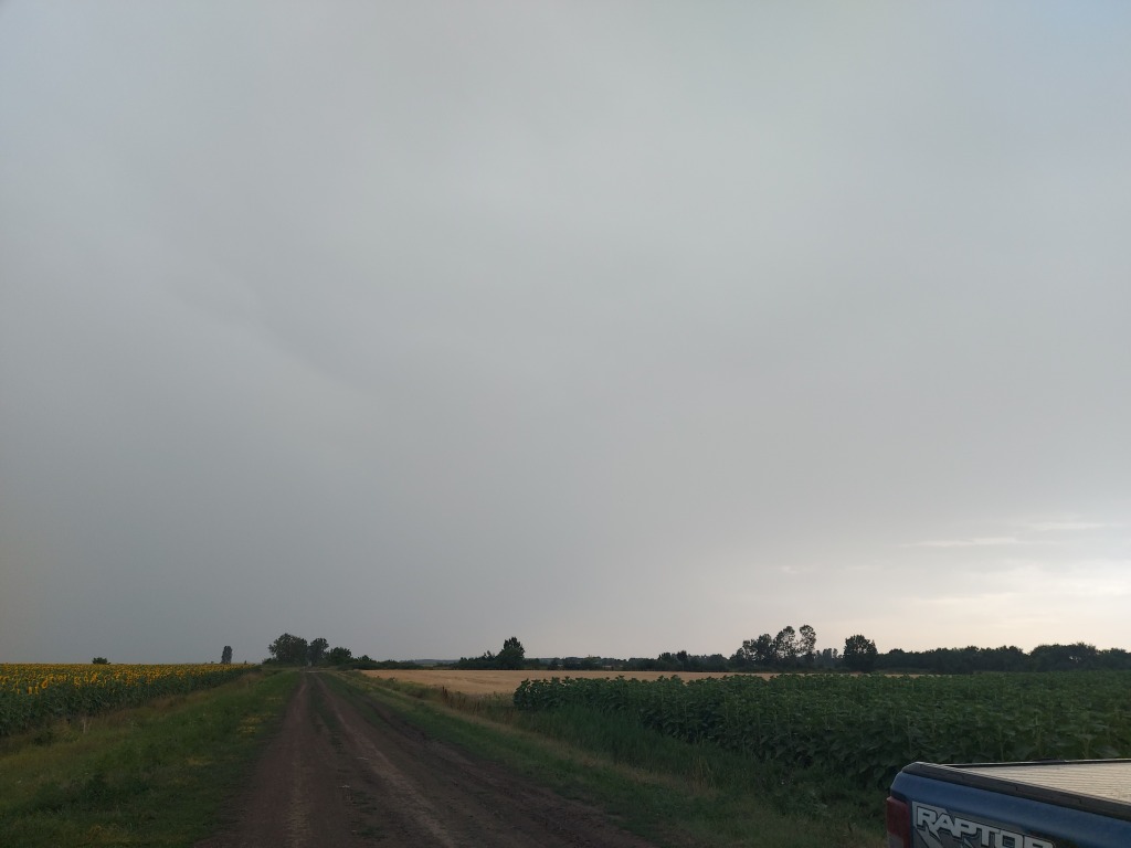 beillesztett kép