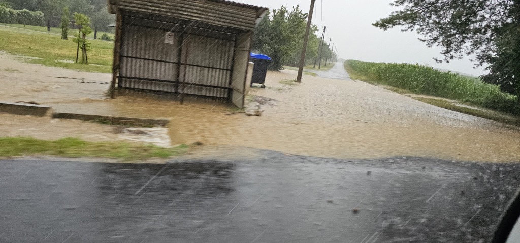 beillesztett kép