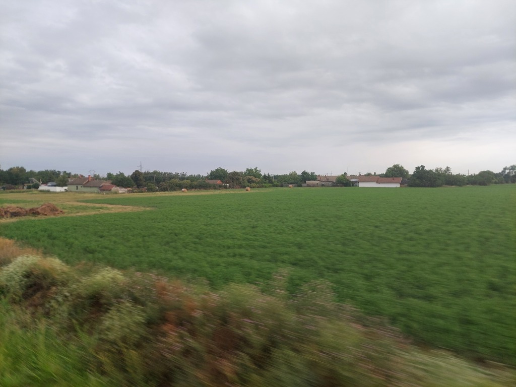 beillesztett kép