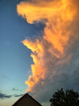 pic