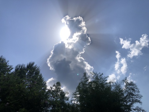 pic