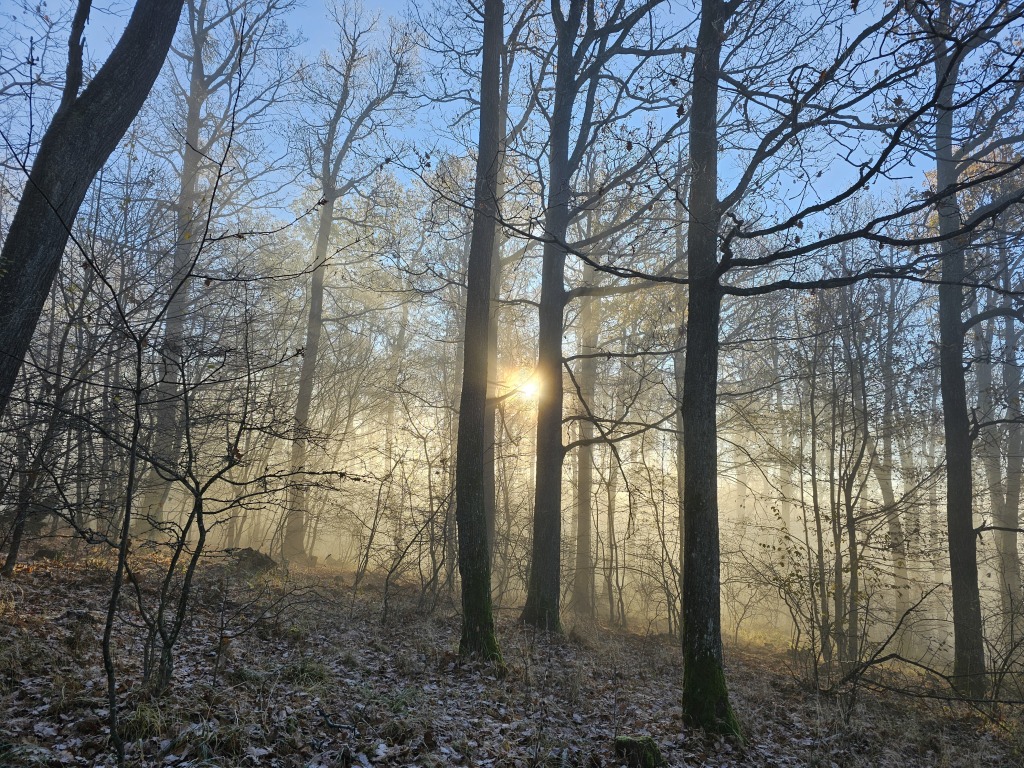 beillesztett kép