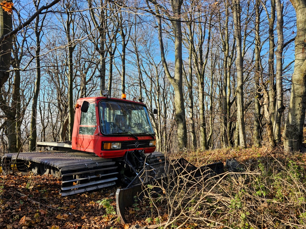 beillesztett kép