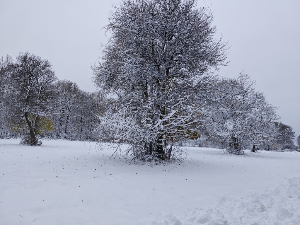beillesztett kép