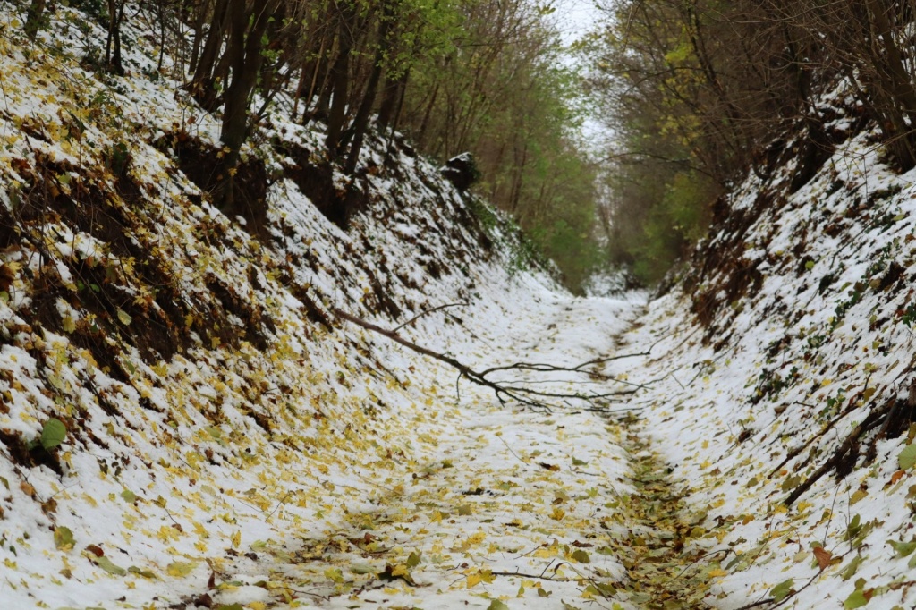 beillesztett kép