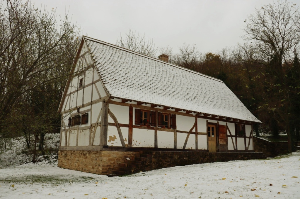beillesztett kép
