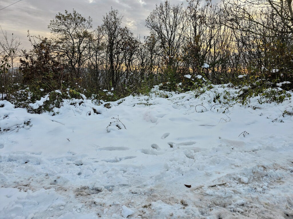 beillesztett kép