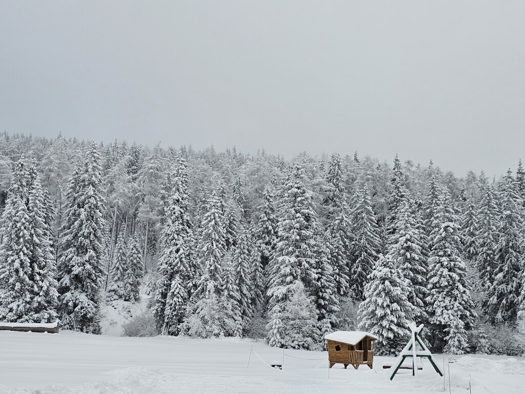 beillesztett kép