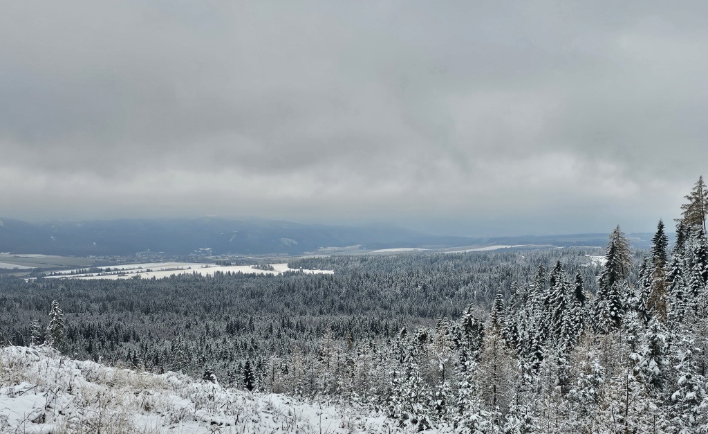 beillesztett kép
