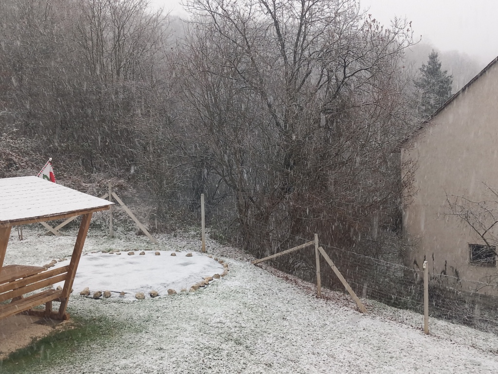 beillesztett kép