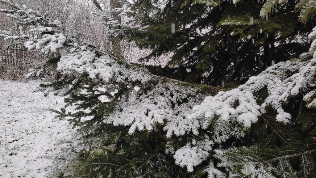 beillesztett kép