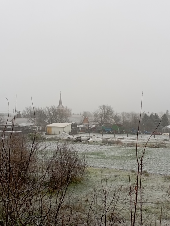 beillesztett kép