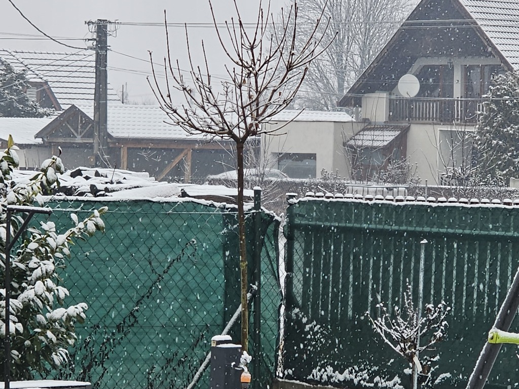 beillesztett kép