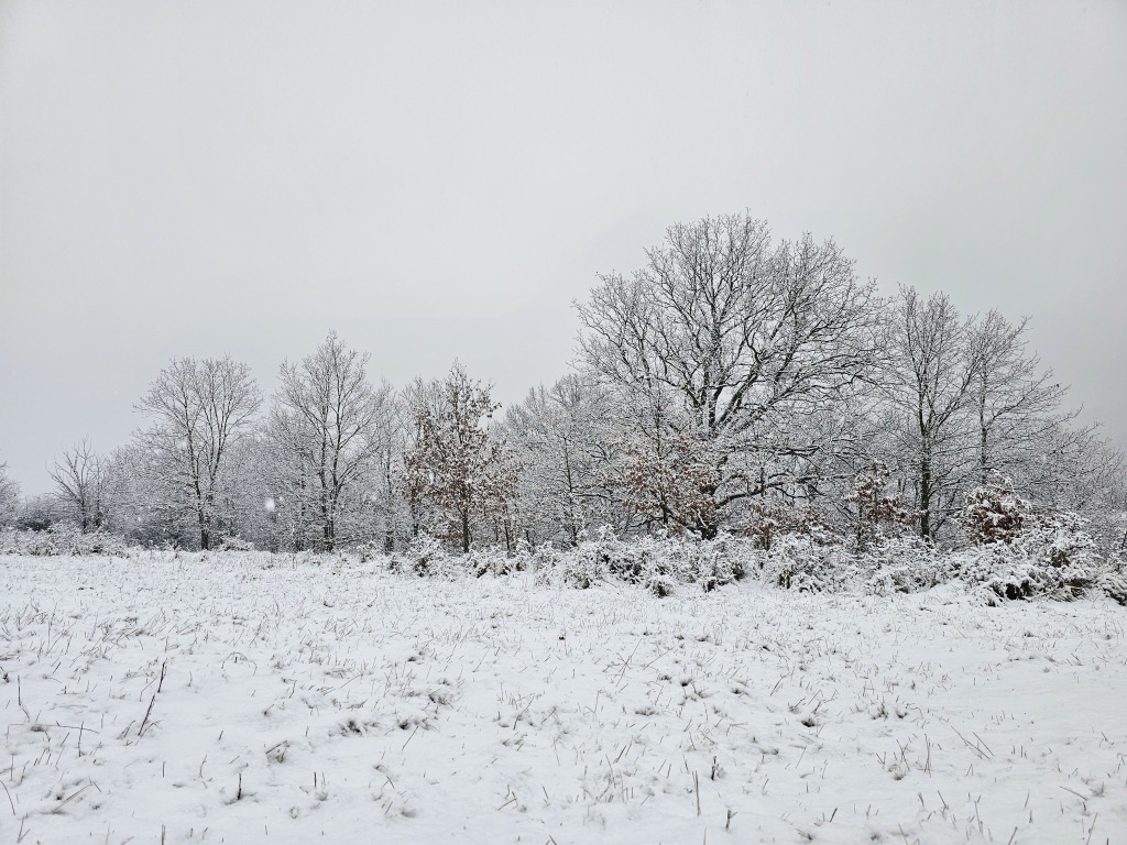 beillesztett kép