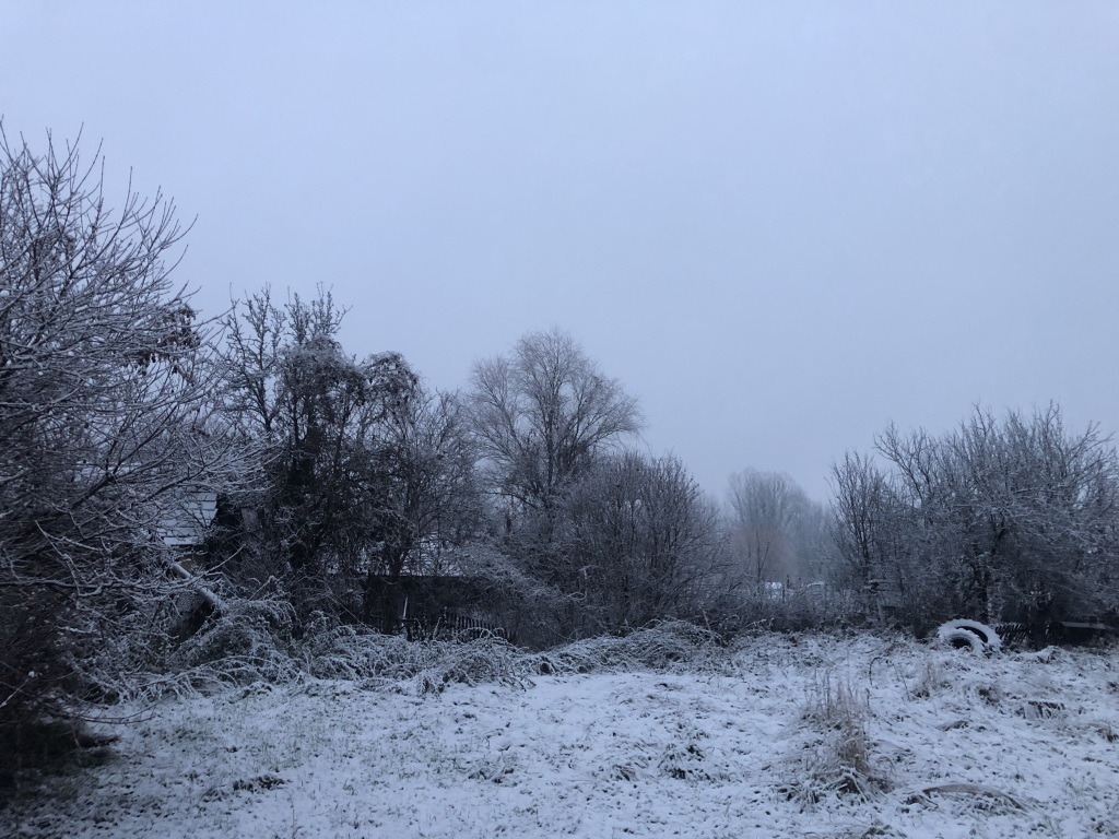 beillesztett kép
