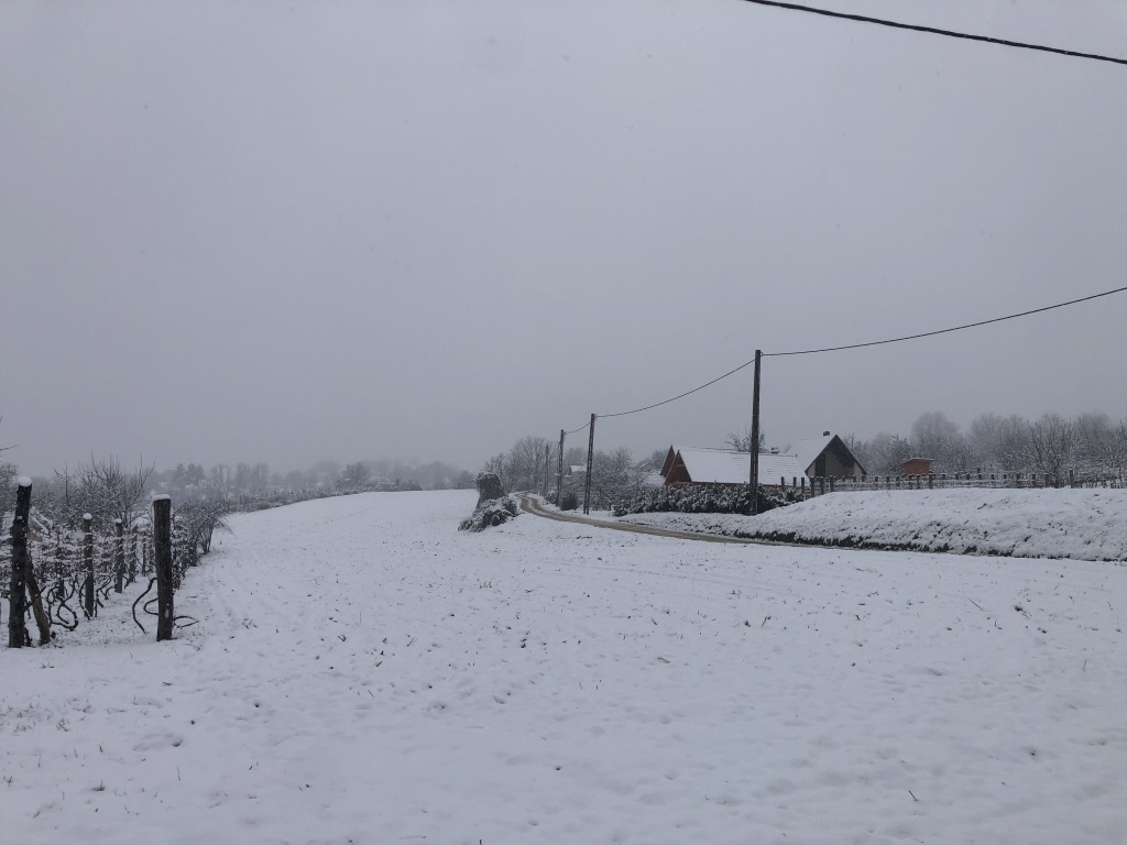 beillesztett kép