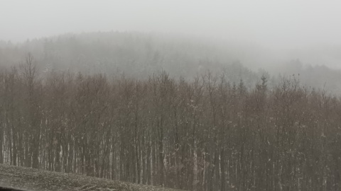pic