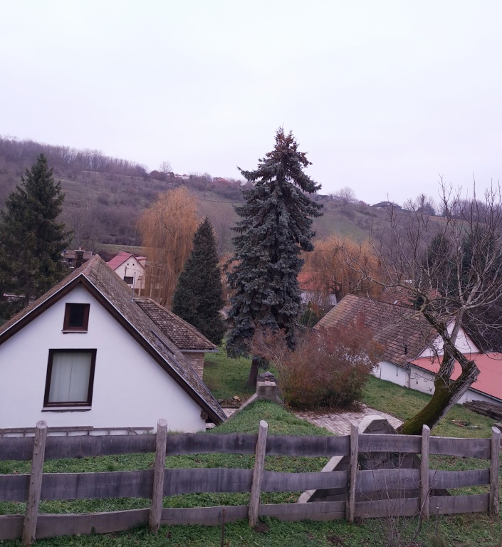 beillesztett kép