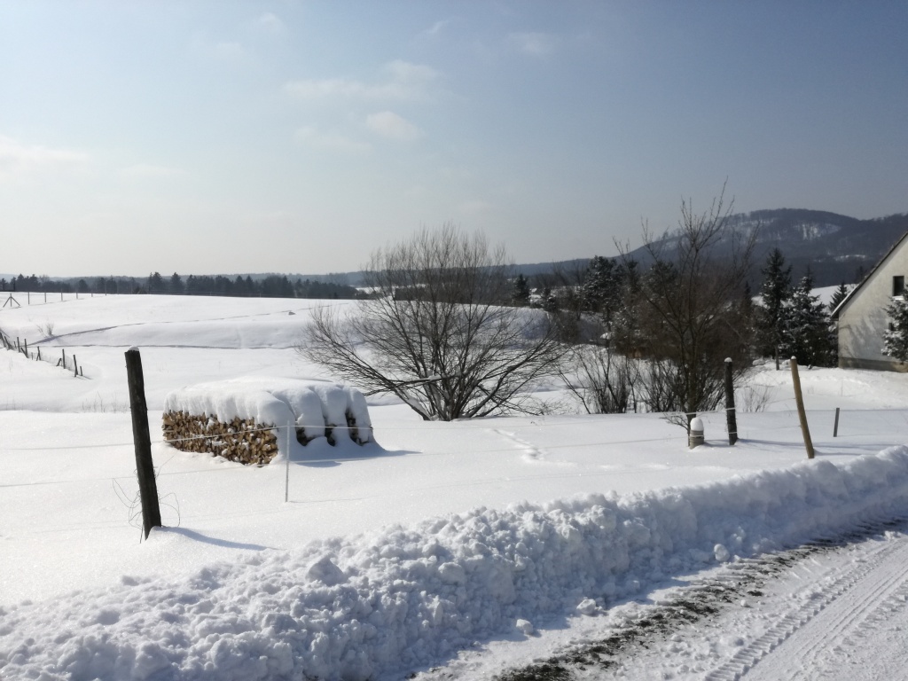 beillesztett kép
