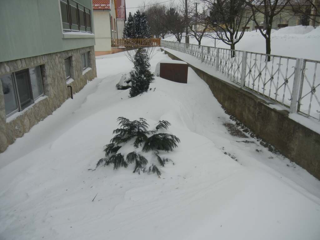 beillesztett kép