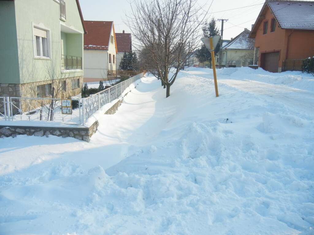 beillesztett kép