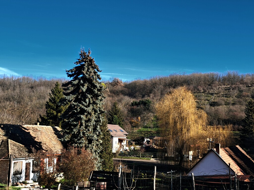 beillesztett kép