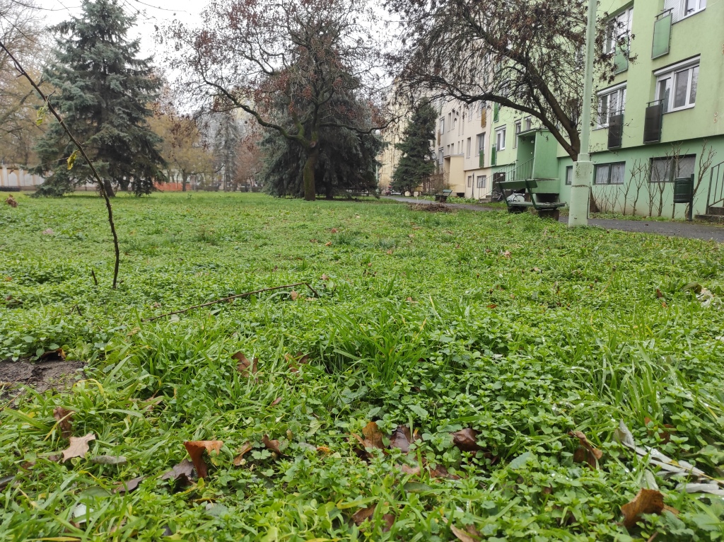 beillesztett kép