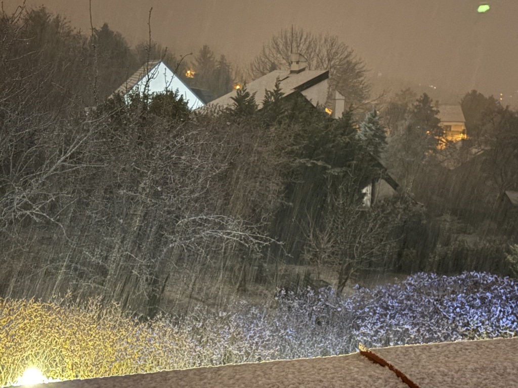 beillesztett kép