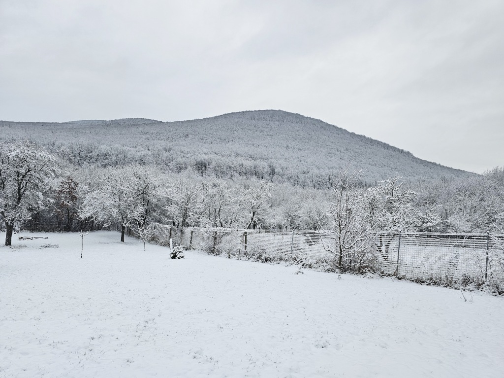 beillesztett kép