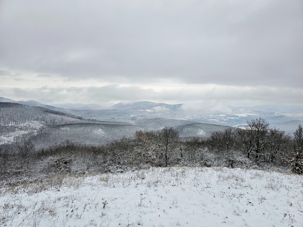 beillesztett kép