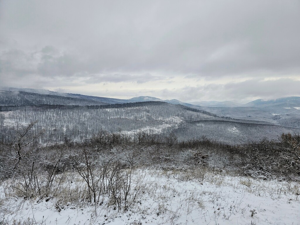 beillesztett kép