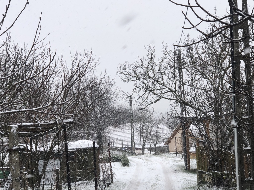 beillesztett kép