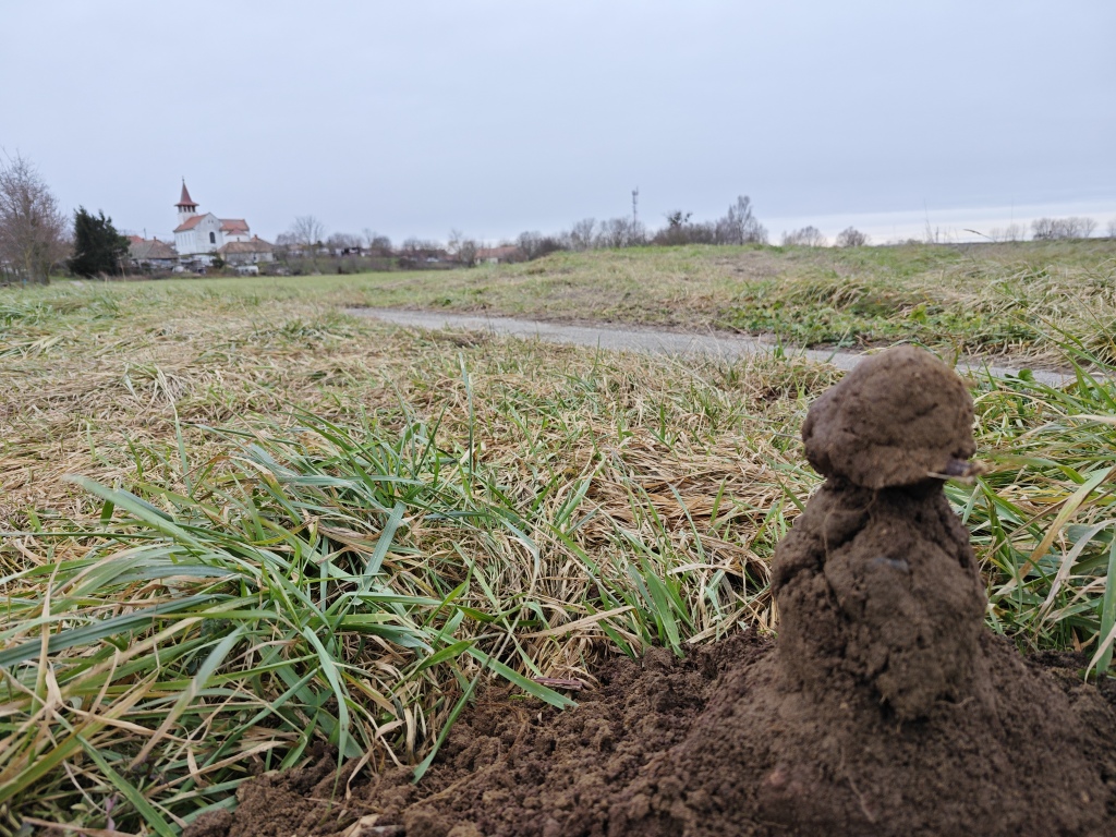 beillesztett kép