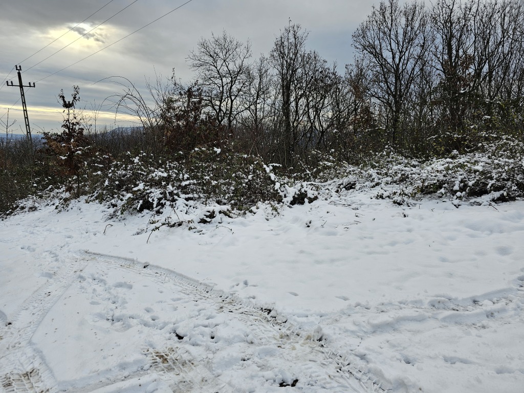 beillesztett kép