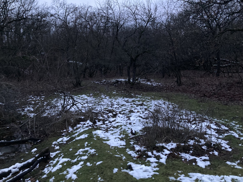 beillesztett kép