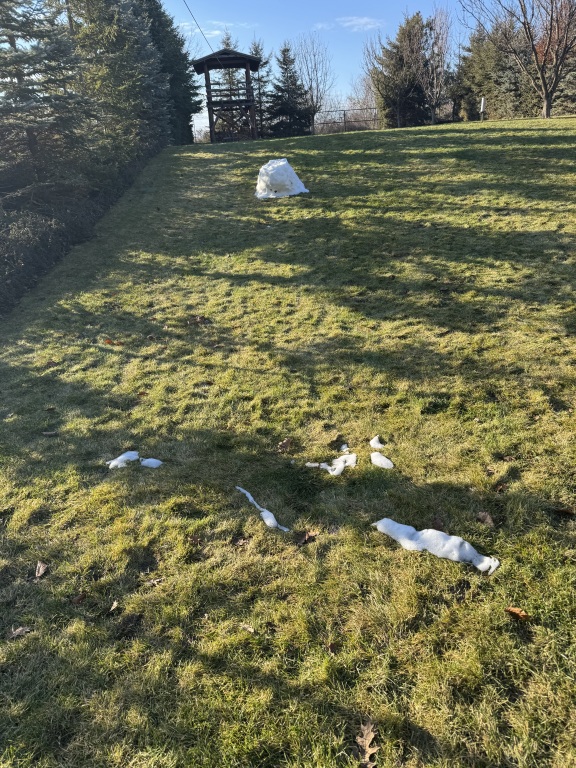 beillesztett kép