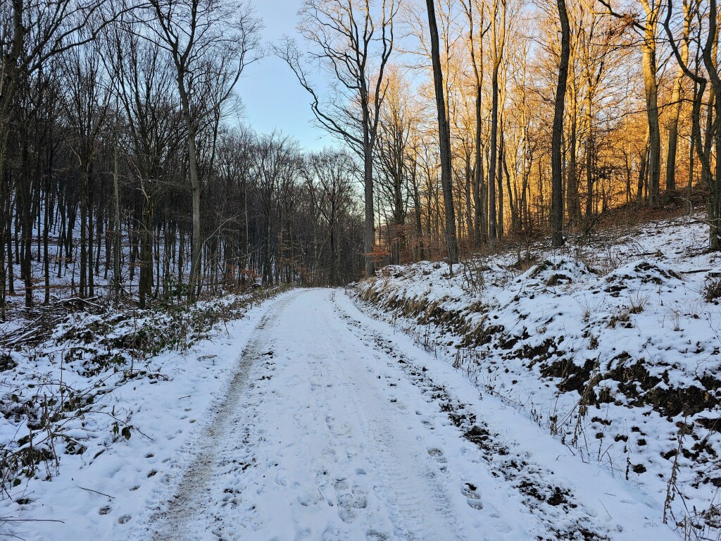 beillesztett kép