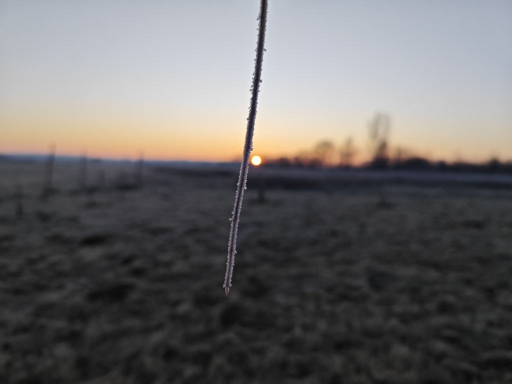 beillesztett kép