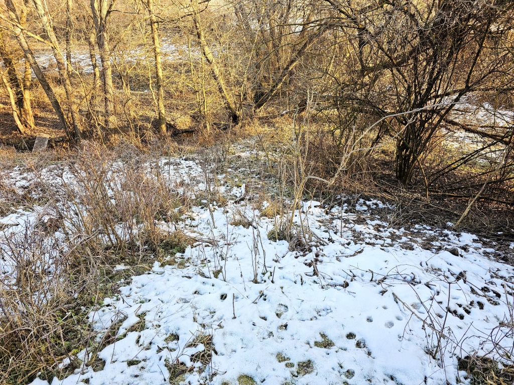 beillesztett kép