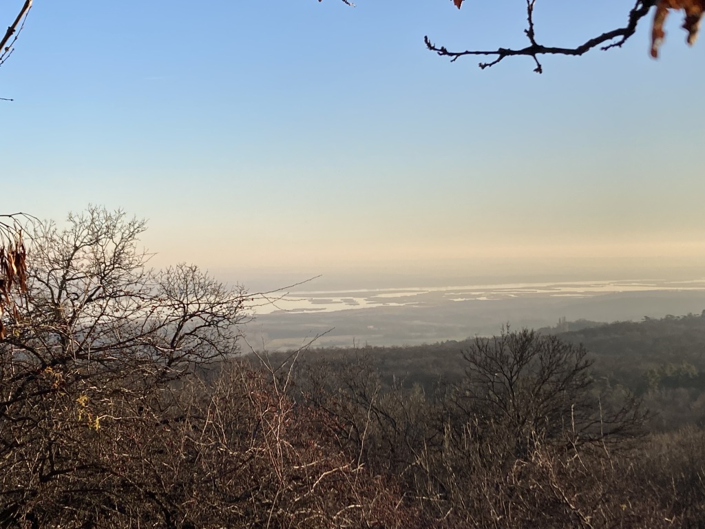 beillesztett kép
