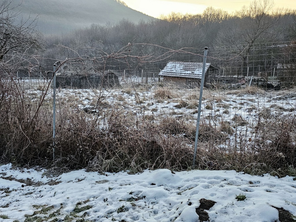 beillesztett kép