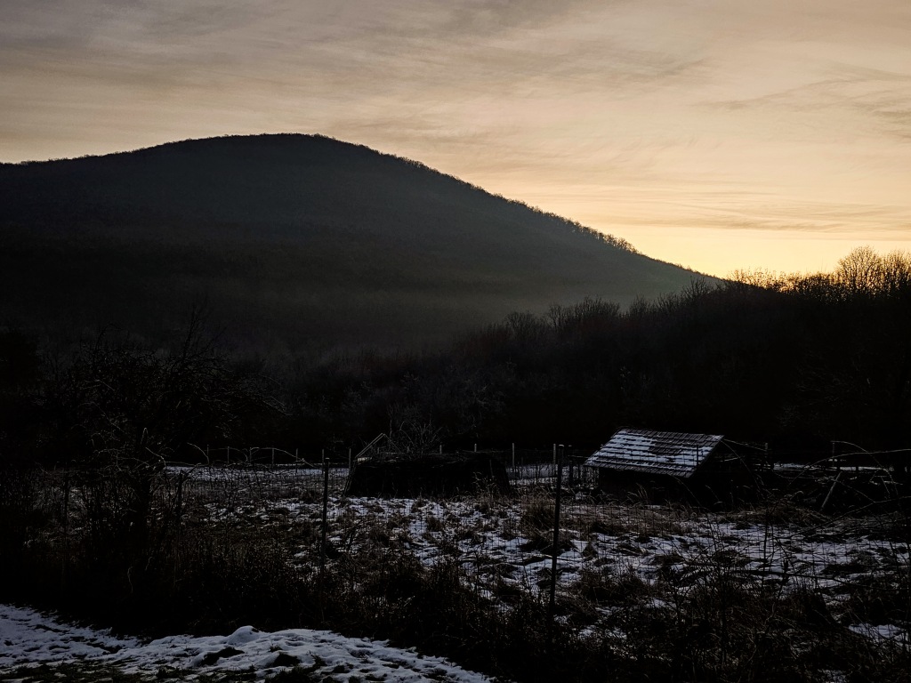 beillesztett kép