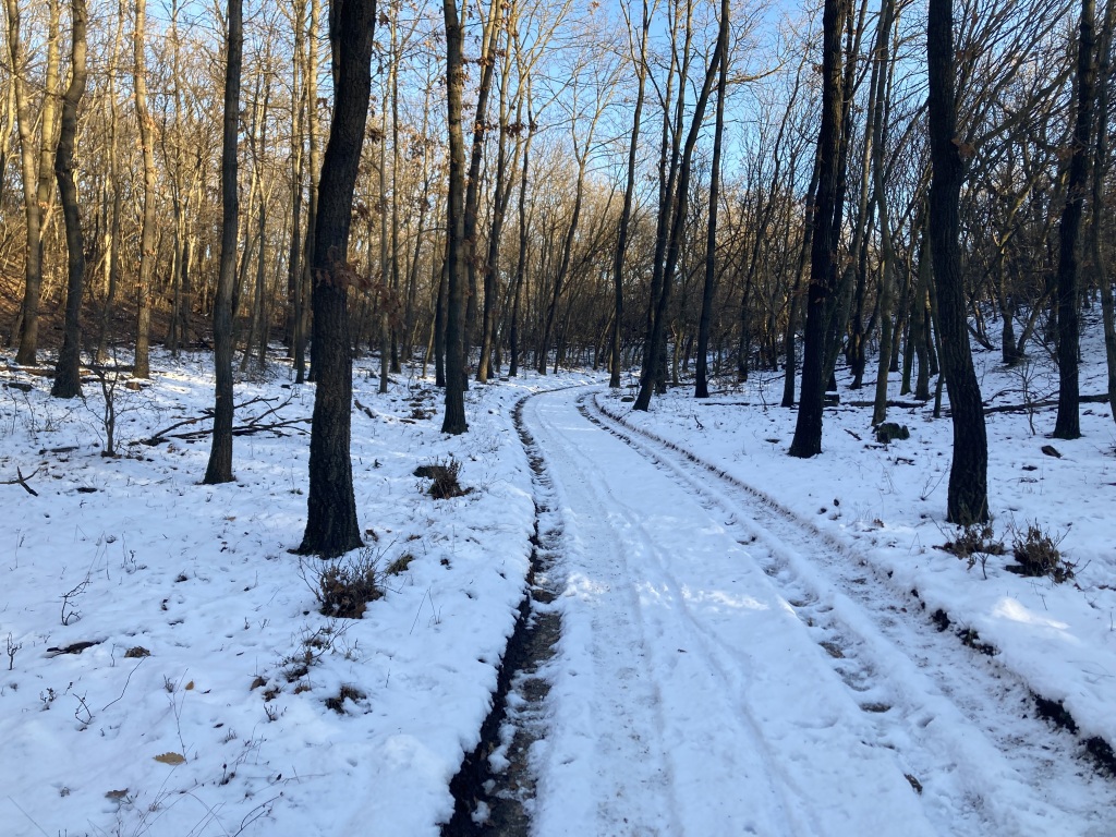 beillesztett kép