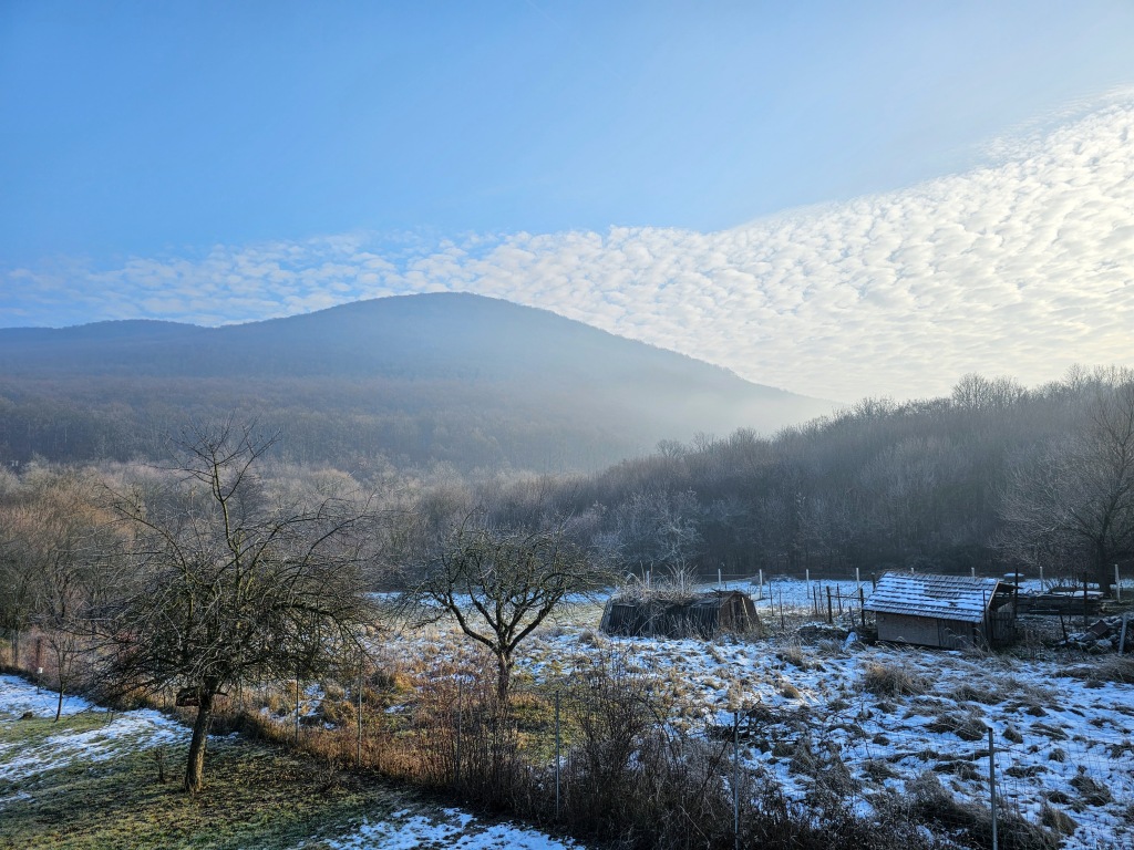 beillesztett kép