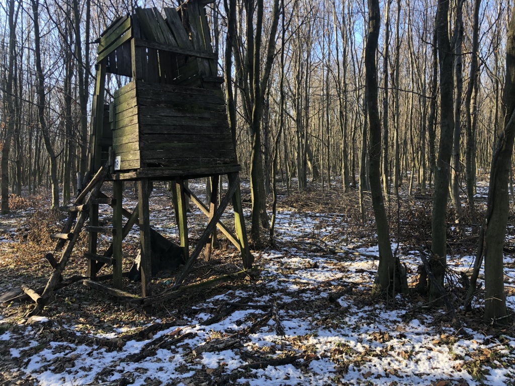 beillesztett kép